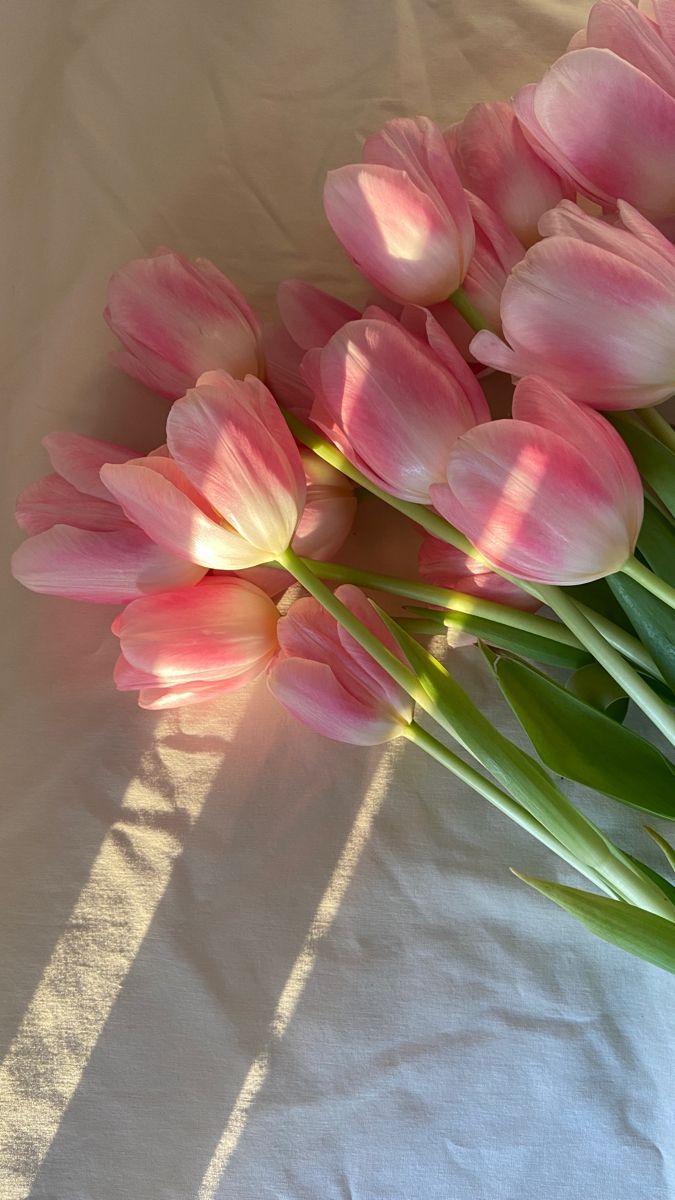 Serenity in Bloom Soothing Flora Mix